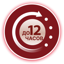 12 часов